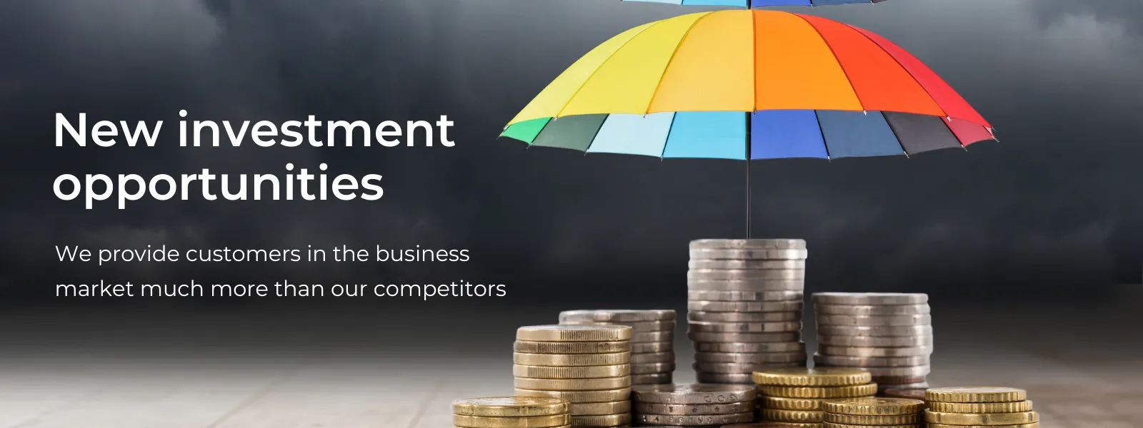 new investment opportunities